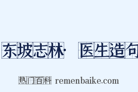 东坡志林·医生造句是什么意思的图片